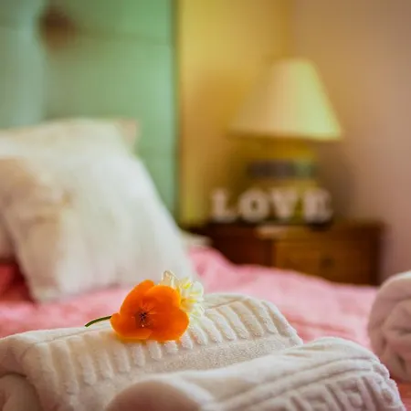 Cardoso 阿尔布费拉